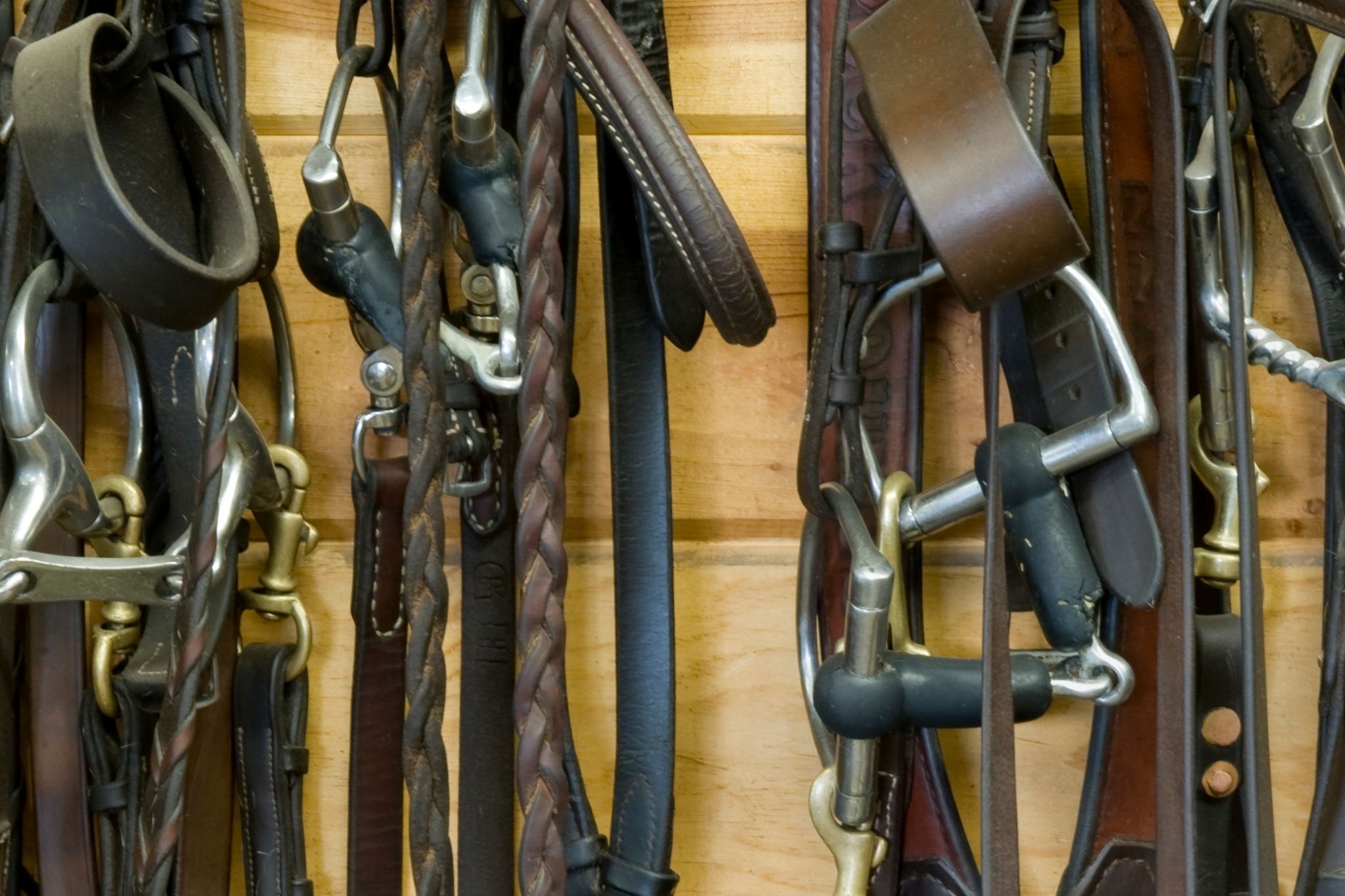 5 Soft Bits for Horses With a Sensitive Side Horse Rookie