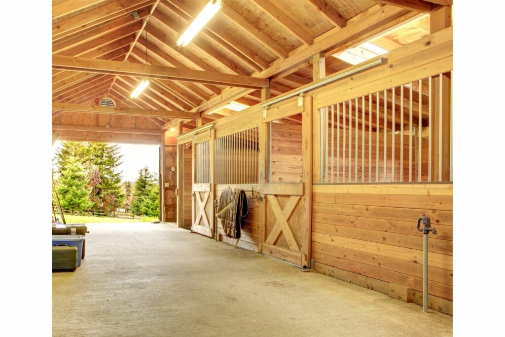 Clean horse barn