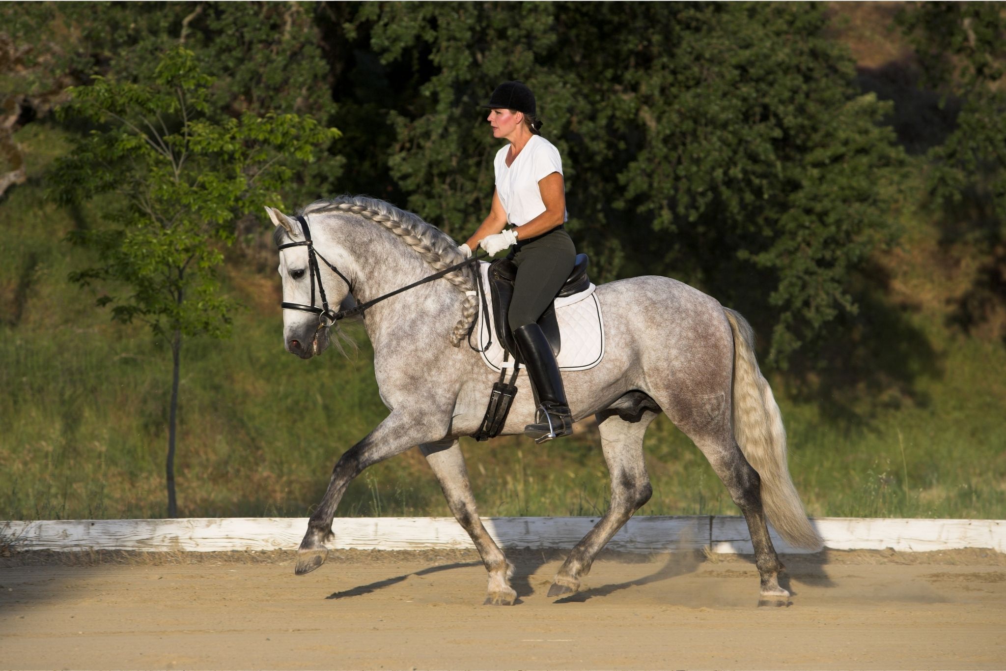 How to Dress for Your 1st Dressage Schooling Show