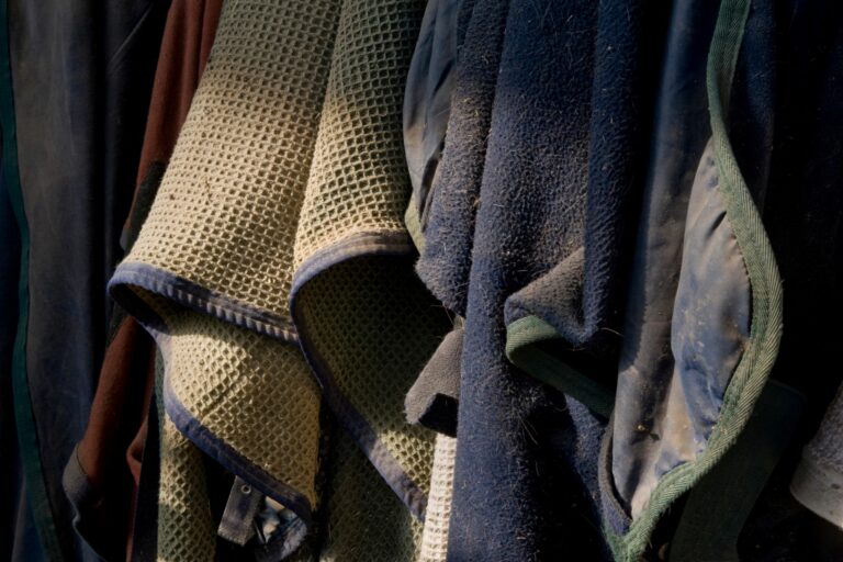 How to Wash Horse Blankets the Easy Way