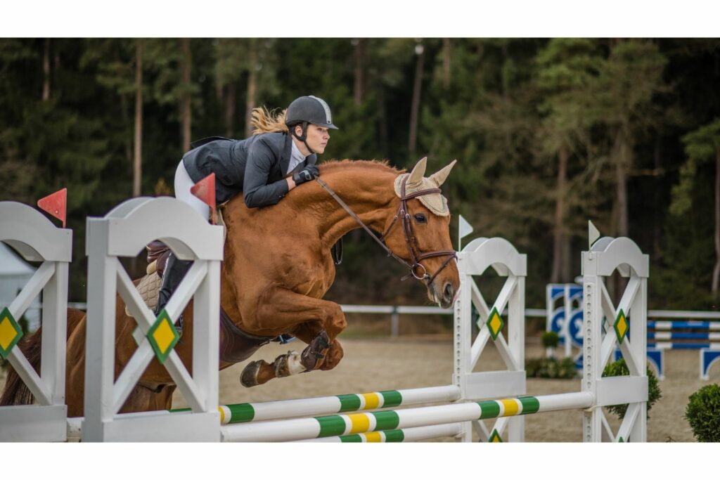 Horse jumping in a course