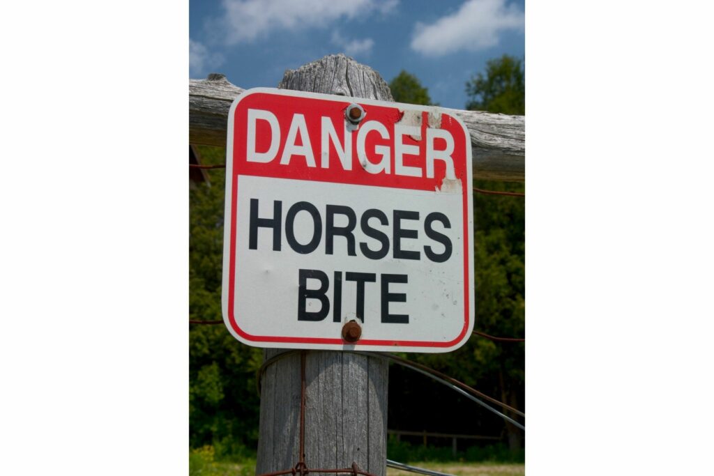 Horse bite sign
