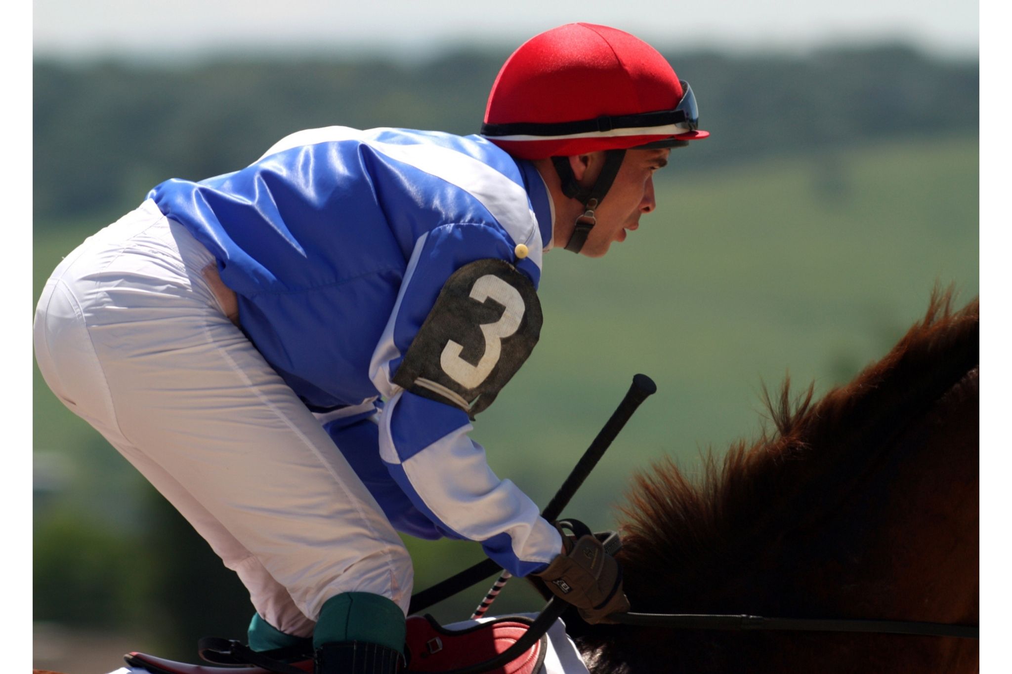 How Tall Are Horse Jockeys & Other Fun Facts