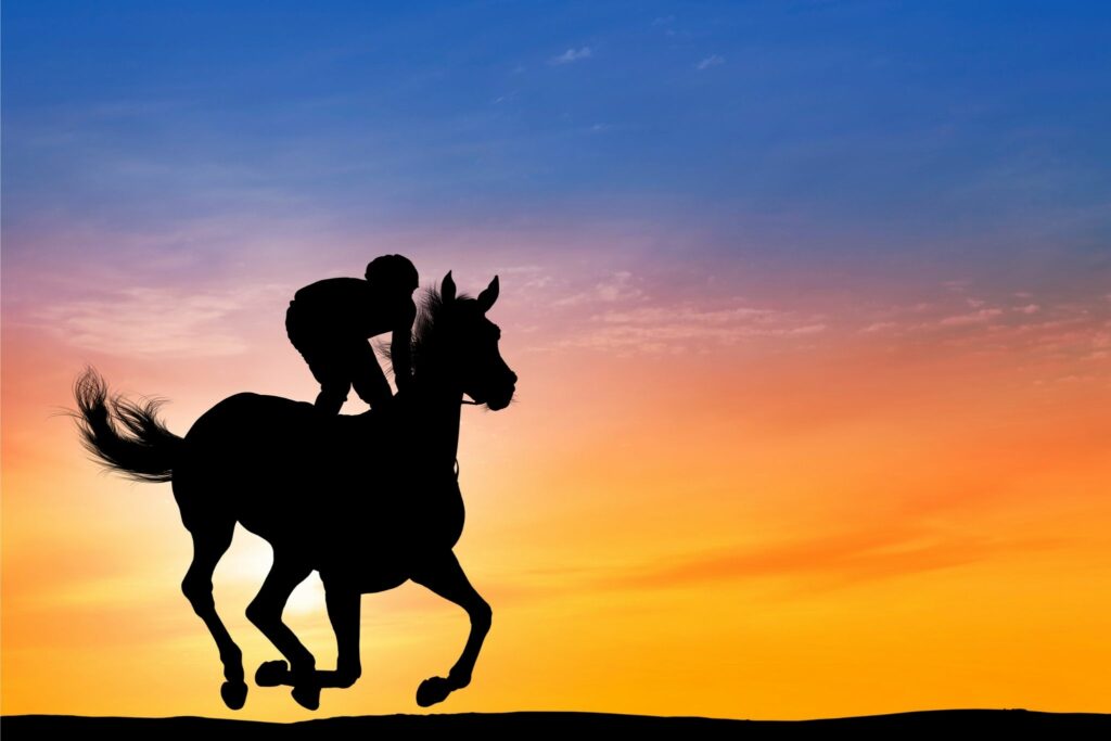 Racehorse at sunset