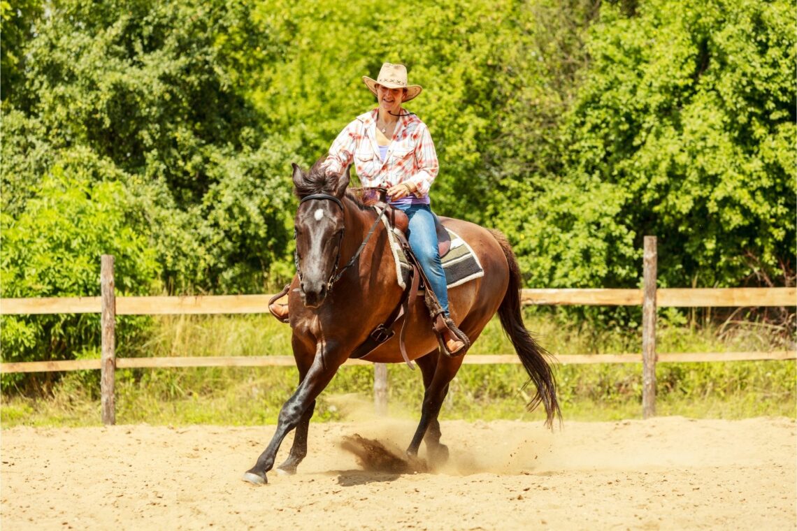 A Beginner's Guide to Reining (Tips, Maneuvers, etc.)