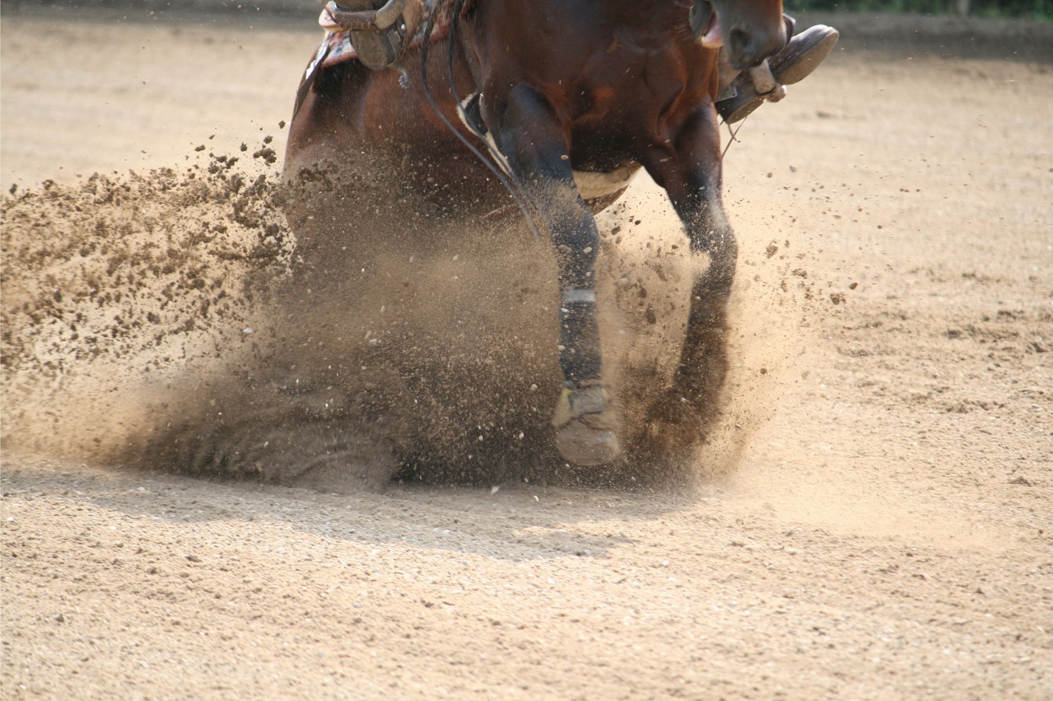 A Beginner's Guide to Reining (Tips, Maneuvers, etc.)