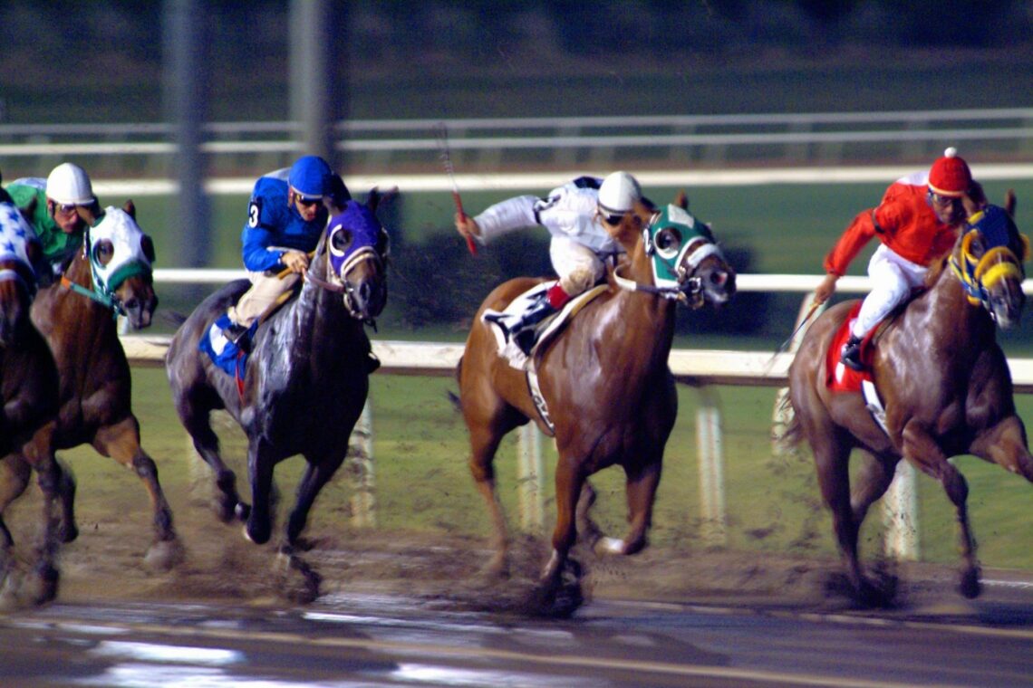 Track Talk Horse Racing Terminology for Rookies Horse Rookie