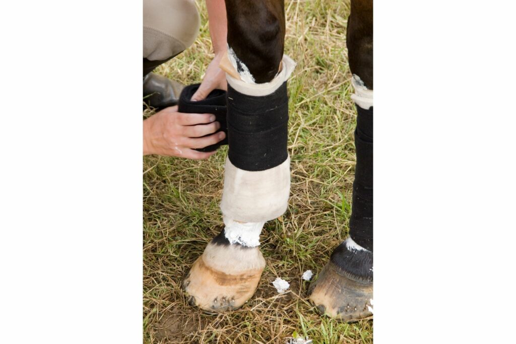 Standing wrap with poultice