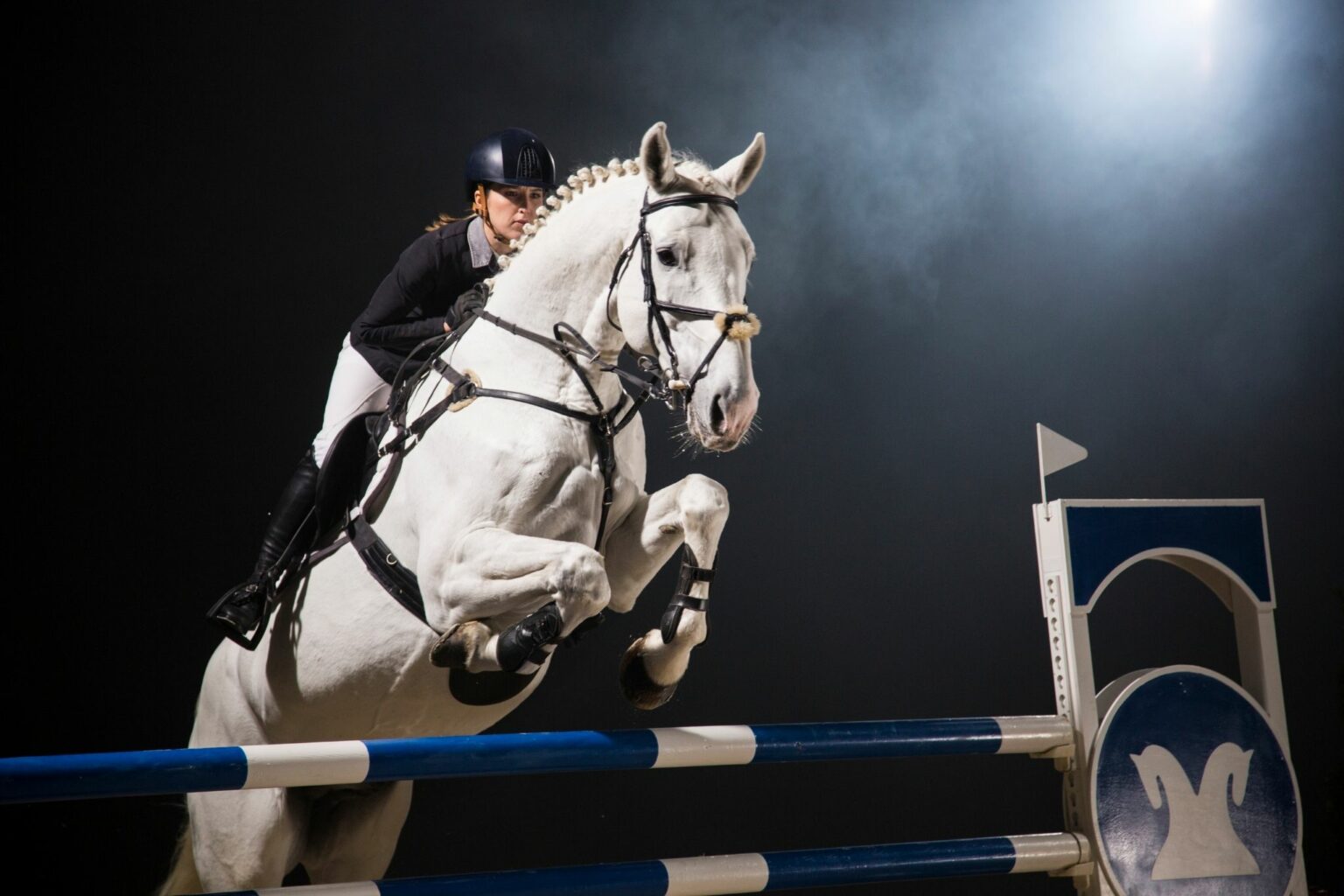 How to Set Up a Show Jump Course for Beginners Horse Rookie How to Set Up a Show Jump Course for Beginners Horse Rookie