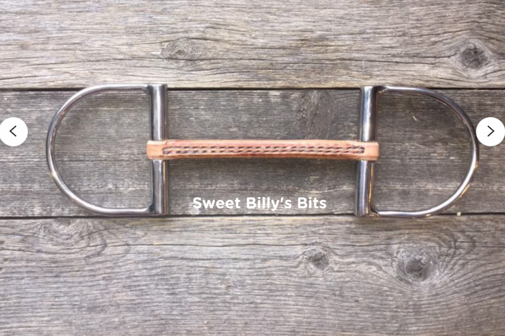 Leather bits for horses — worth trying or passing fad? Horse Rookie