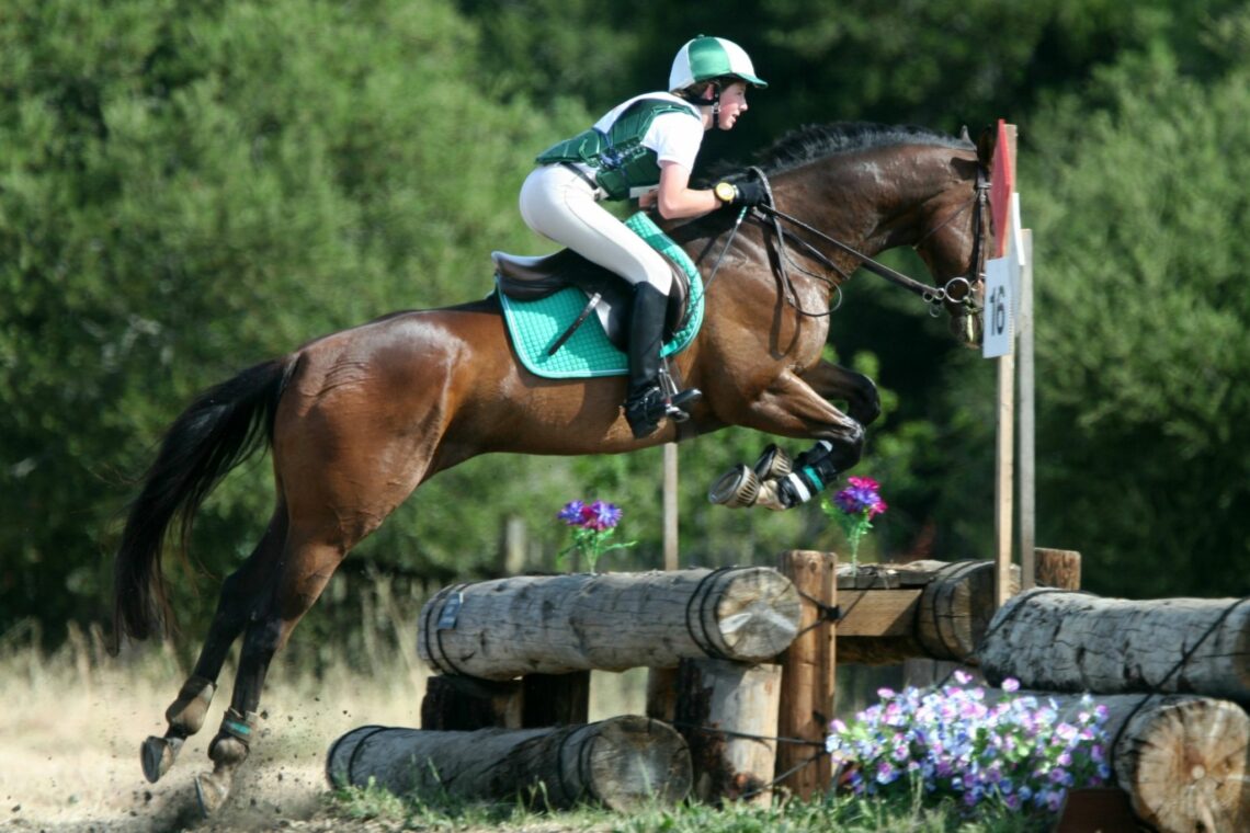 Go Wide: How Far Can Horses Jump Horizontally?