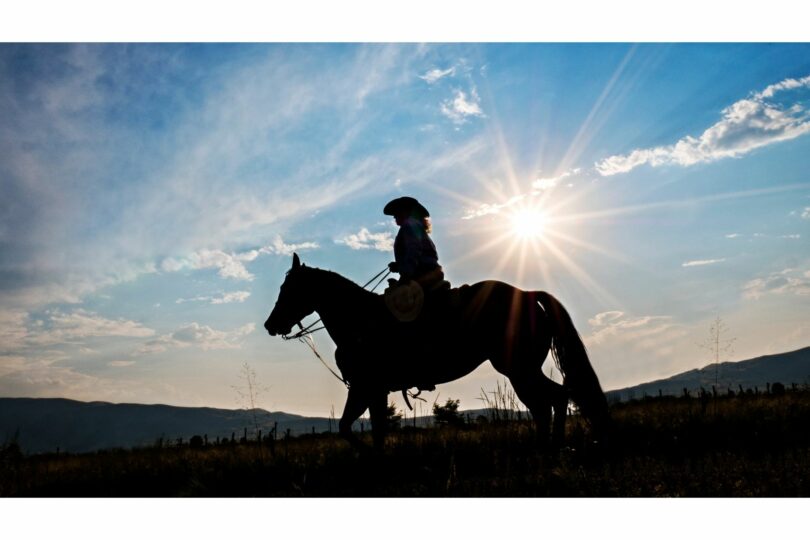 Silhouette horse and rider