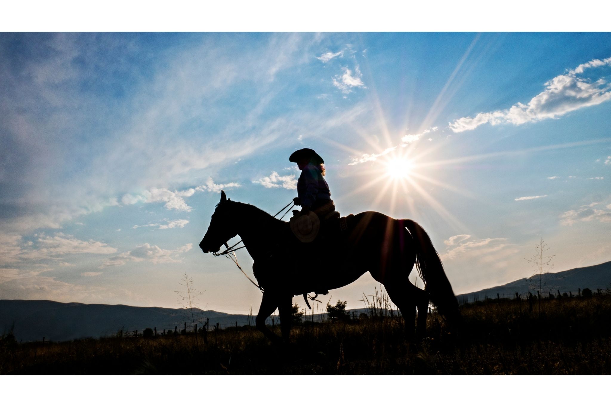 Back in the Saddle: Horse Riding After a Hip Replacement - Horse Rookie