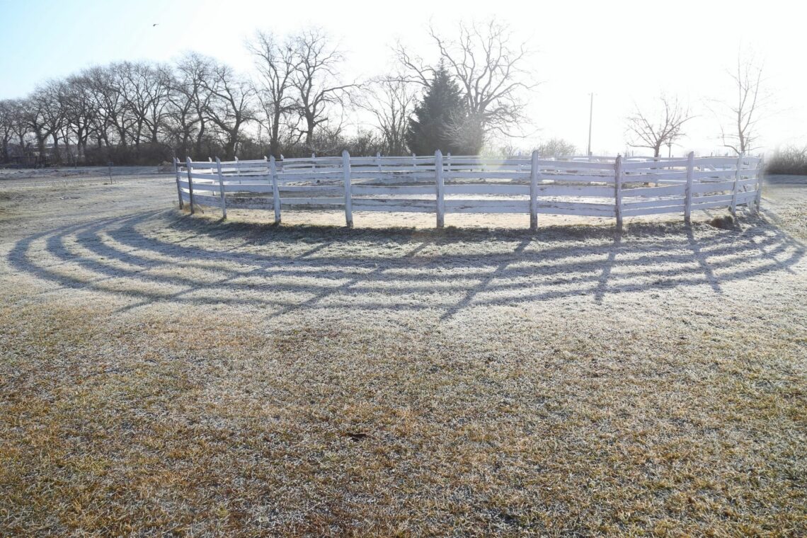 Horse Round Pens What's the Perfect of Panels? Horse Rookie