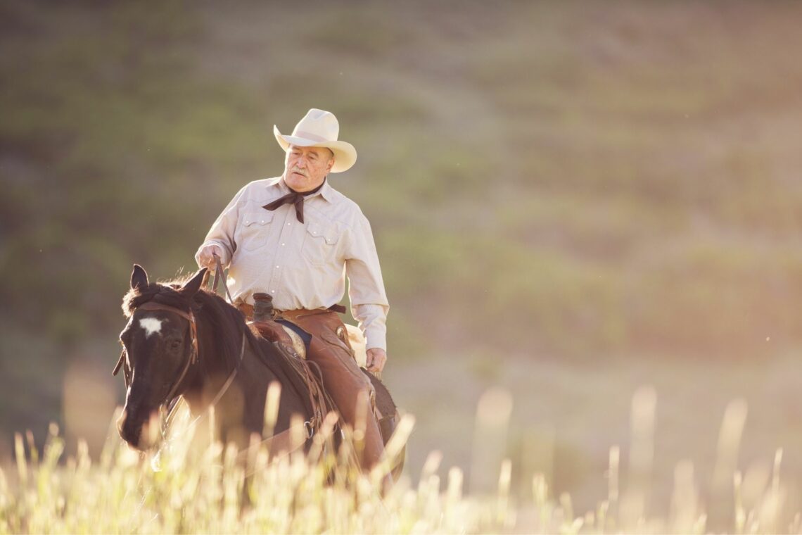 Back in the Saddle Horse Riding After a Hip Replacement