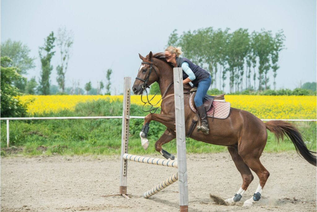 Hanging a leg in a horse jump