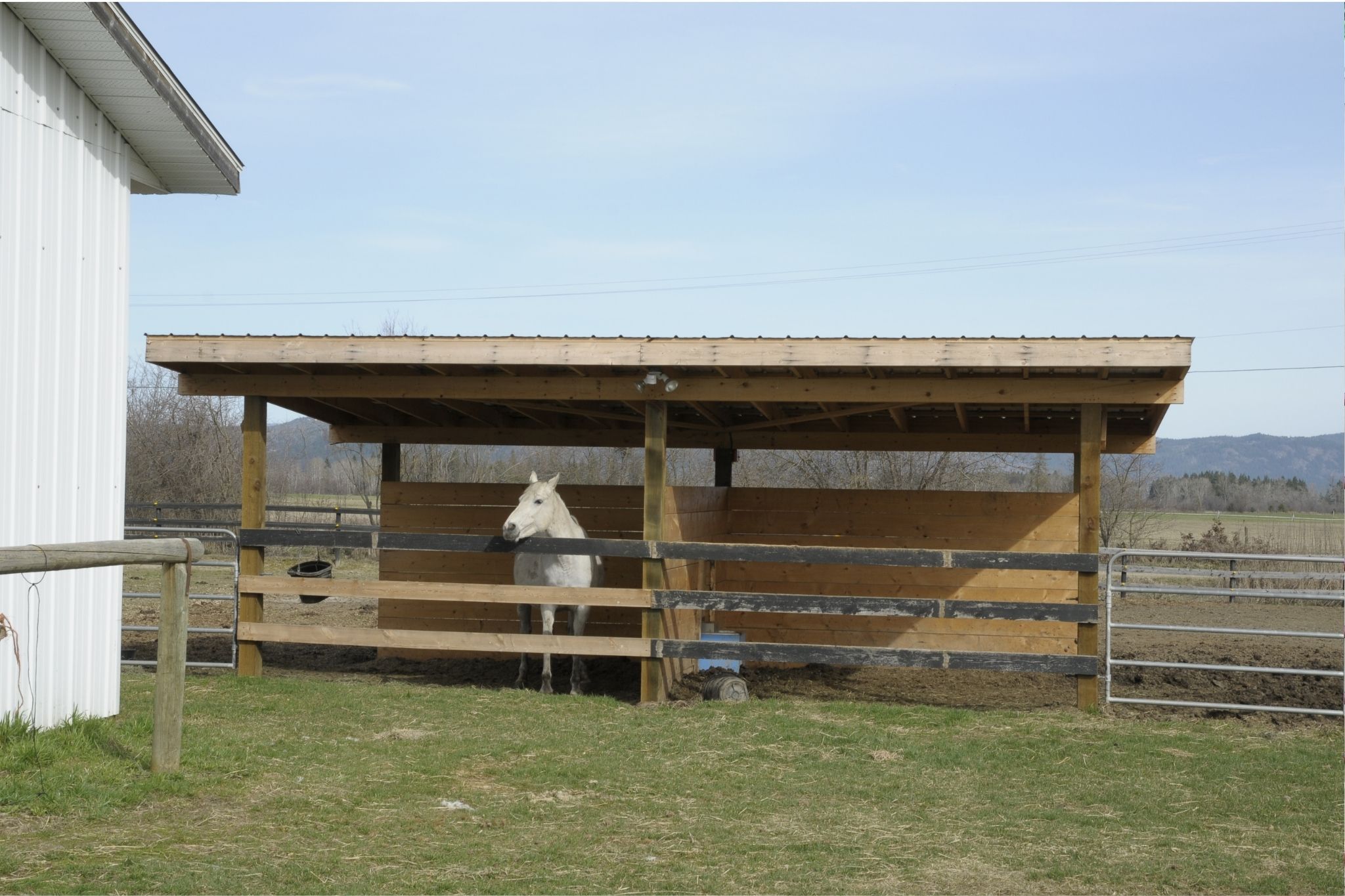 Horse Run In Sheds for Beginners (Cost, Size, etc.)