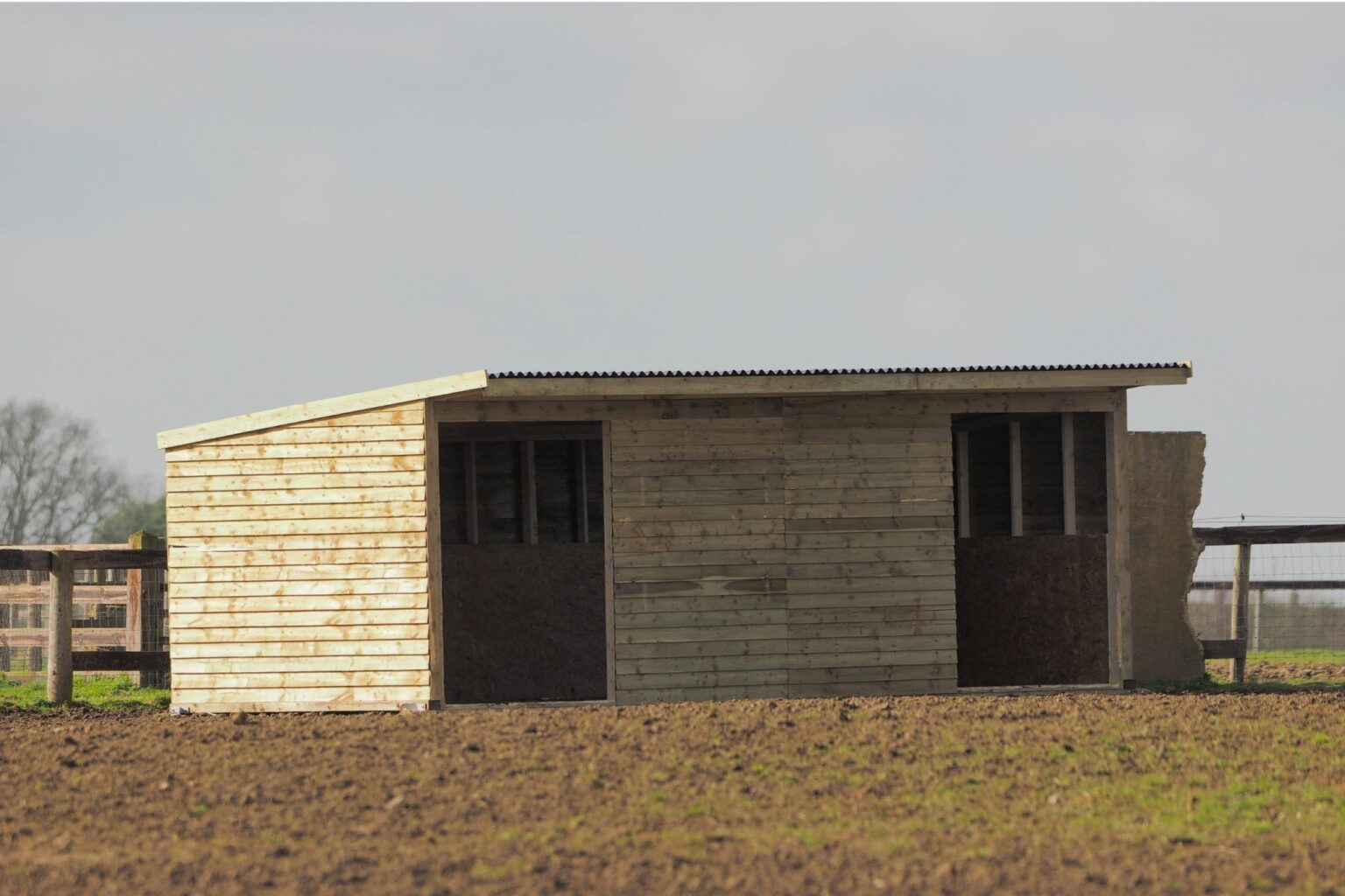 Horse Run In Sheds for Beginners (Cost, Size, etc.)