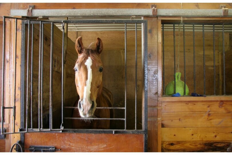 Horse Stall Shavings—How Much Do I Need?