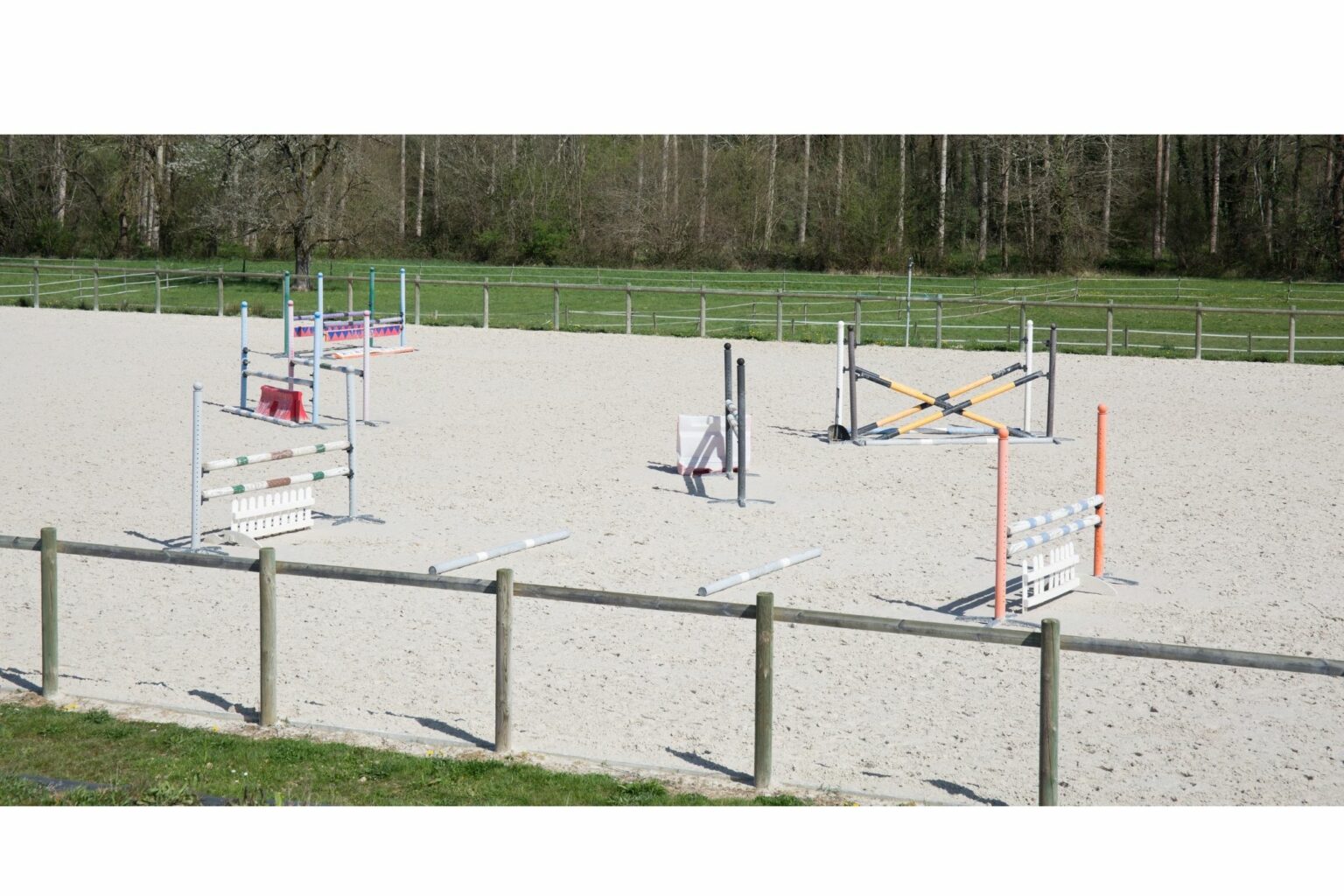 course-walk-101-how-to-count-jump-strides-horse-rookie