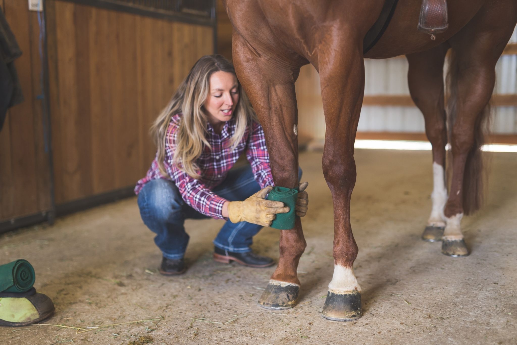 Horse Polo Wraps vs. Sport Boots (Pros, Cons, Uses) Horse Rookie