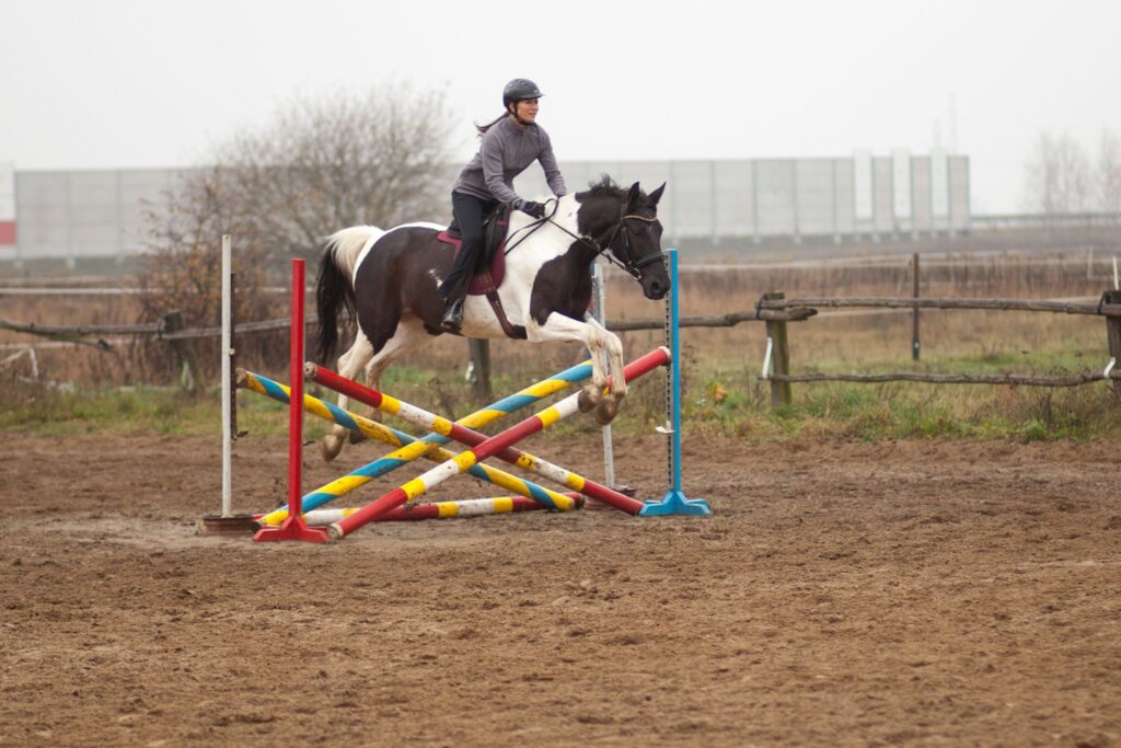 pinto horse jumping in rainy weather