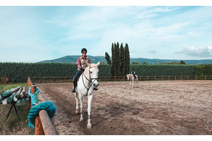 Horse Leasing 101 How to Make It a WinWin Horse Rookie