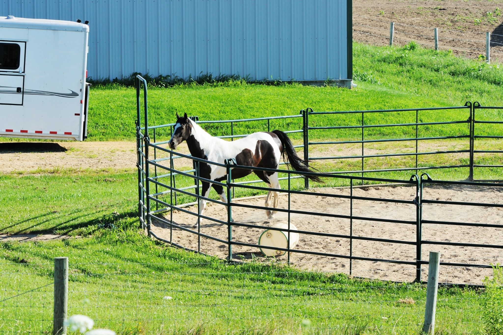 Horse Round Pens What's the Perfect of Panels? Horse Rookie
