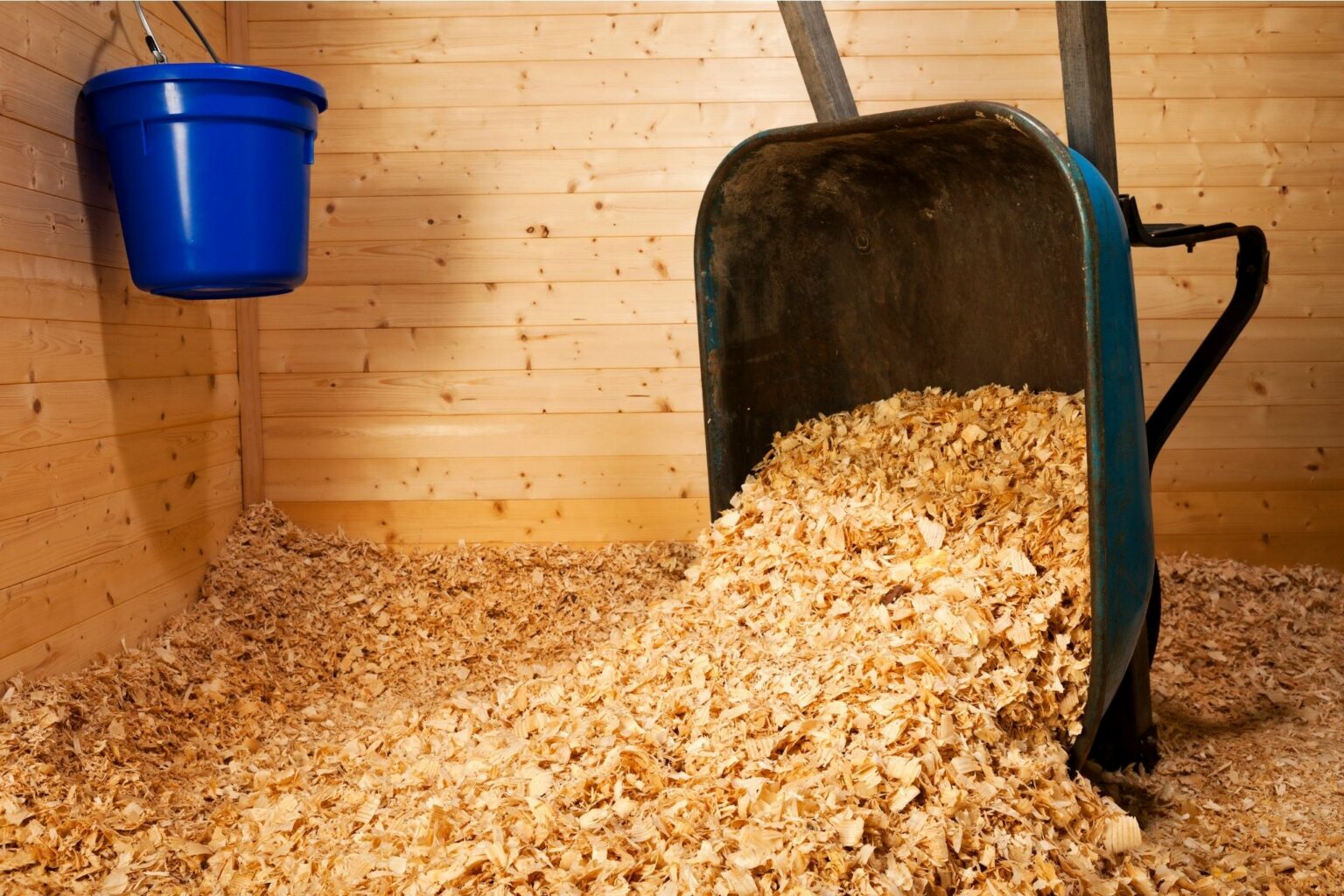 Horse Stall Shavings—How Much Do I Need?