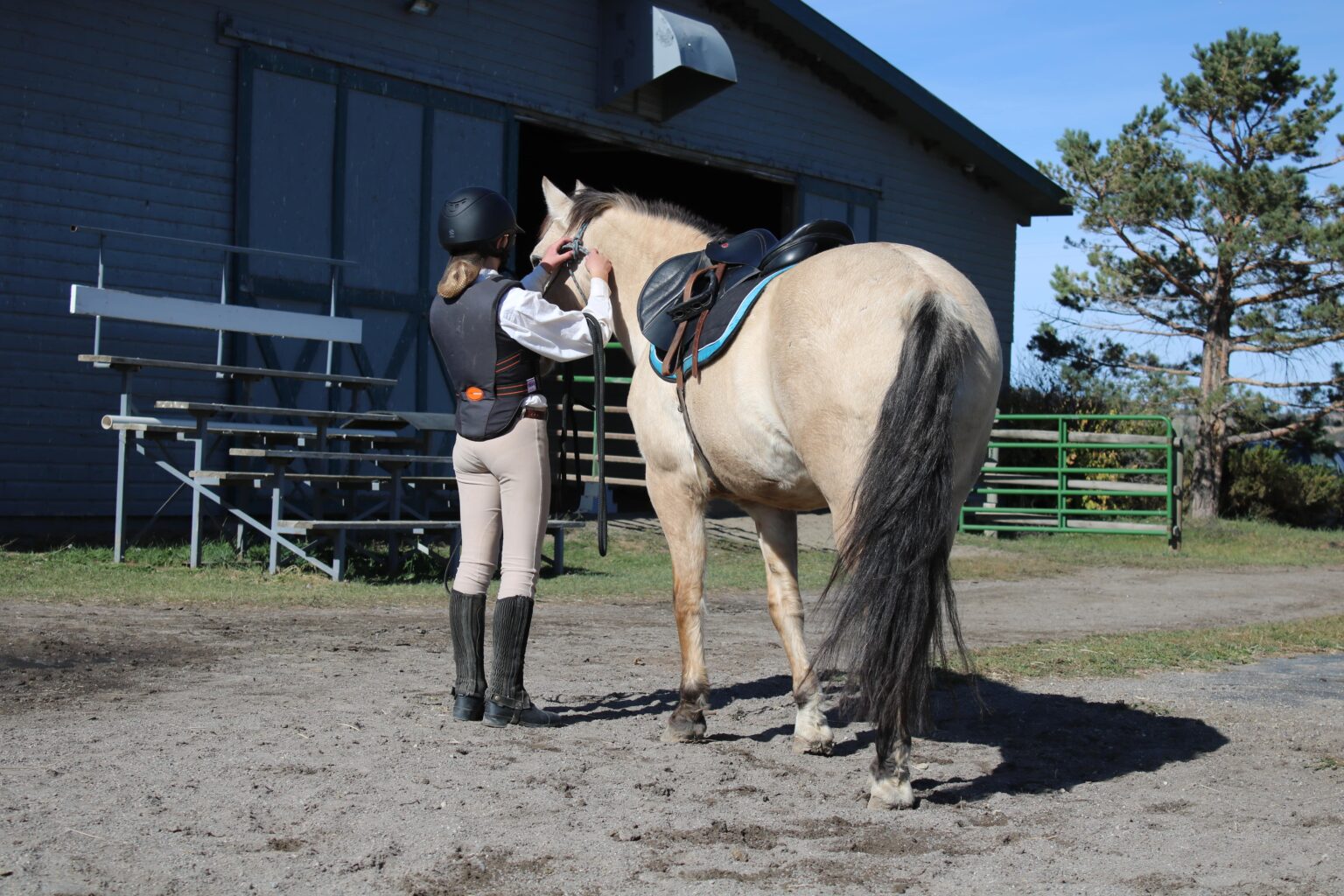 7 Best Horseback Riding Half Chaps for All Budgets