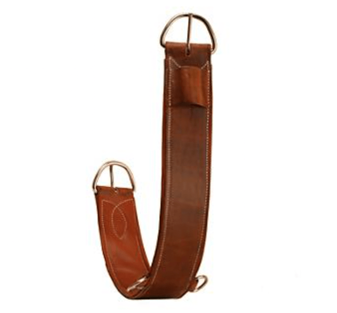 6 Best Cinches for Trail Riding in AllDay Comfort Horse Rookie