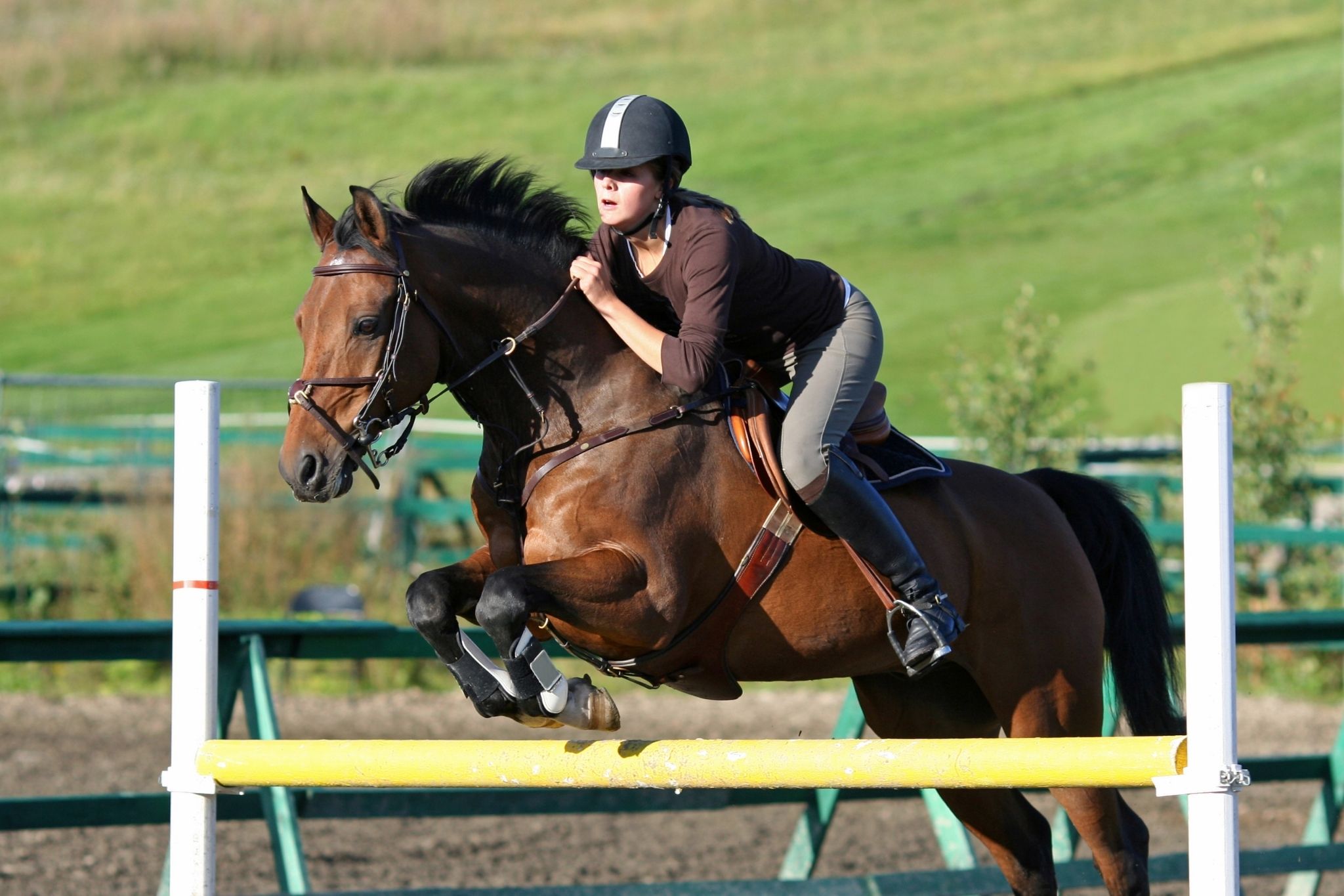 Show jumping with horses - Challenging and fun!