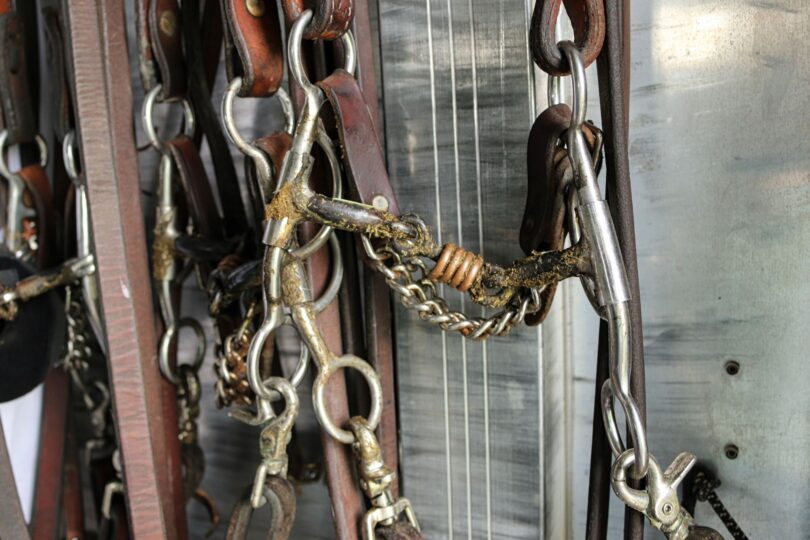 curb bit with wire roller