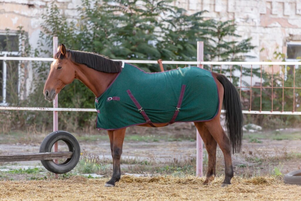 Horse blanket too small