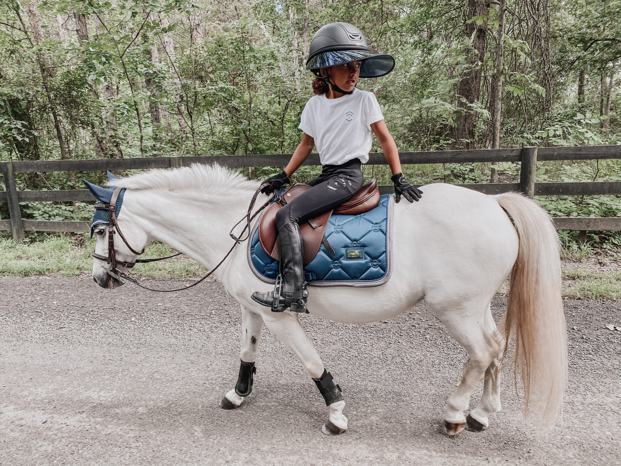 Lighten Your Load: How Much Can a Pony Carry?