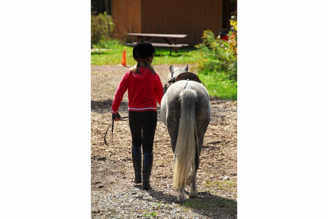 What Weight Can A 13.2 Pony Carry at Gaye Kenyon blog