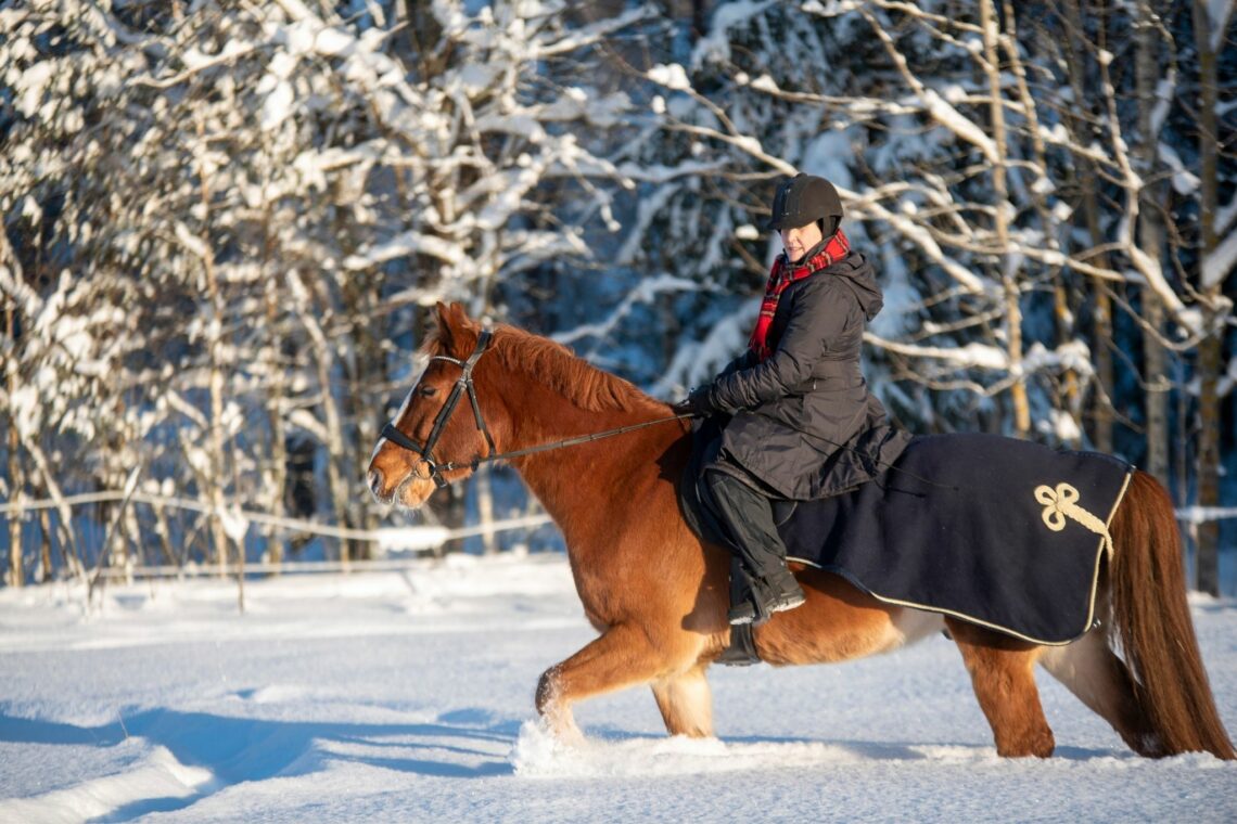 Chilled to the Bone What's Too Cold to Ride Horses? Horse Rookie