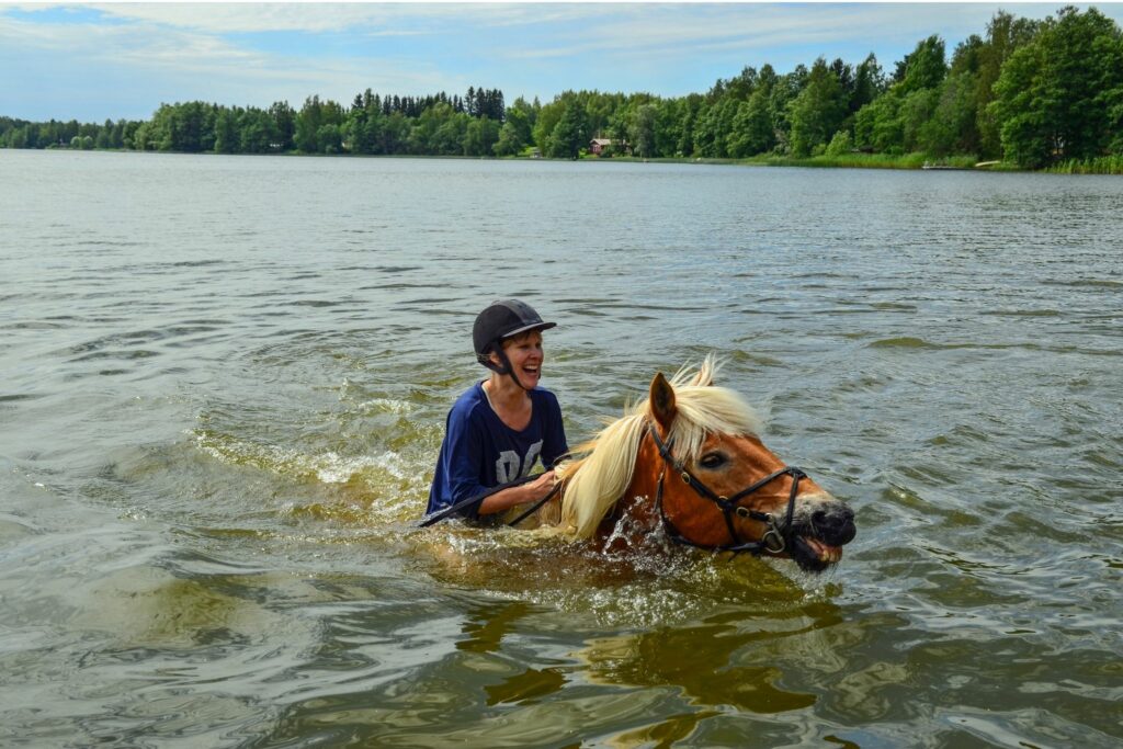 Horse and rider swimming