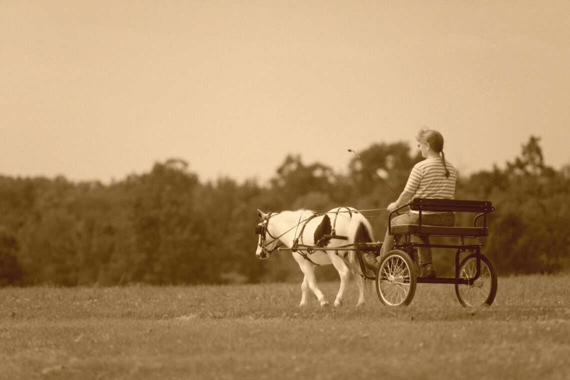 lighten-your-load-how-much-can-a-pony-carry