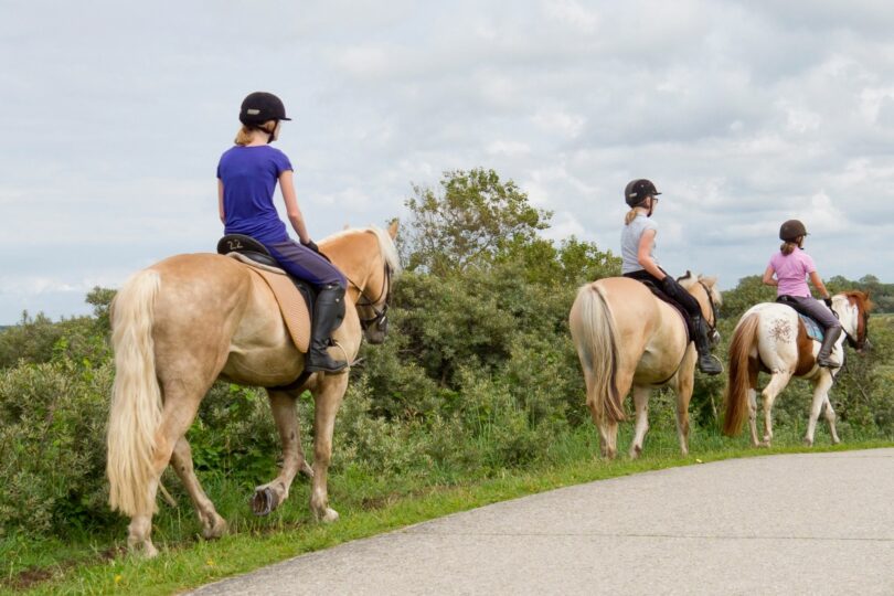 Lighten Your Load How Much Can a Pony Carry? Horse Rookie