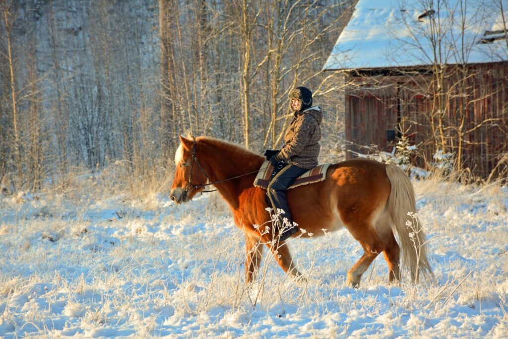 Winter horse riding