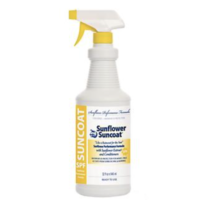 3 Best Sunscreens for Sensitive Horses Snoots