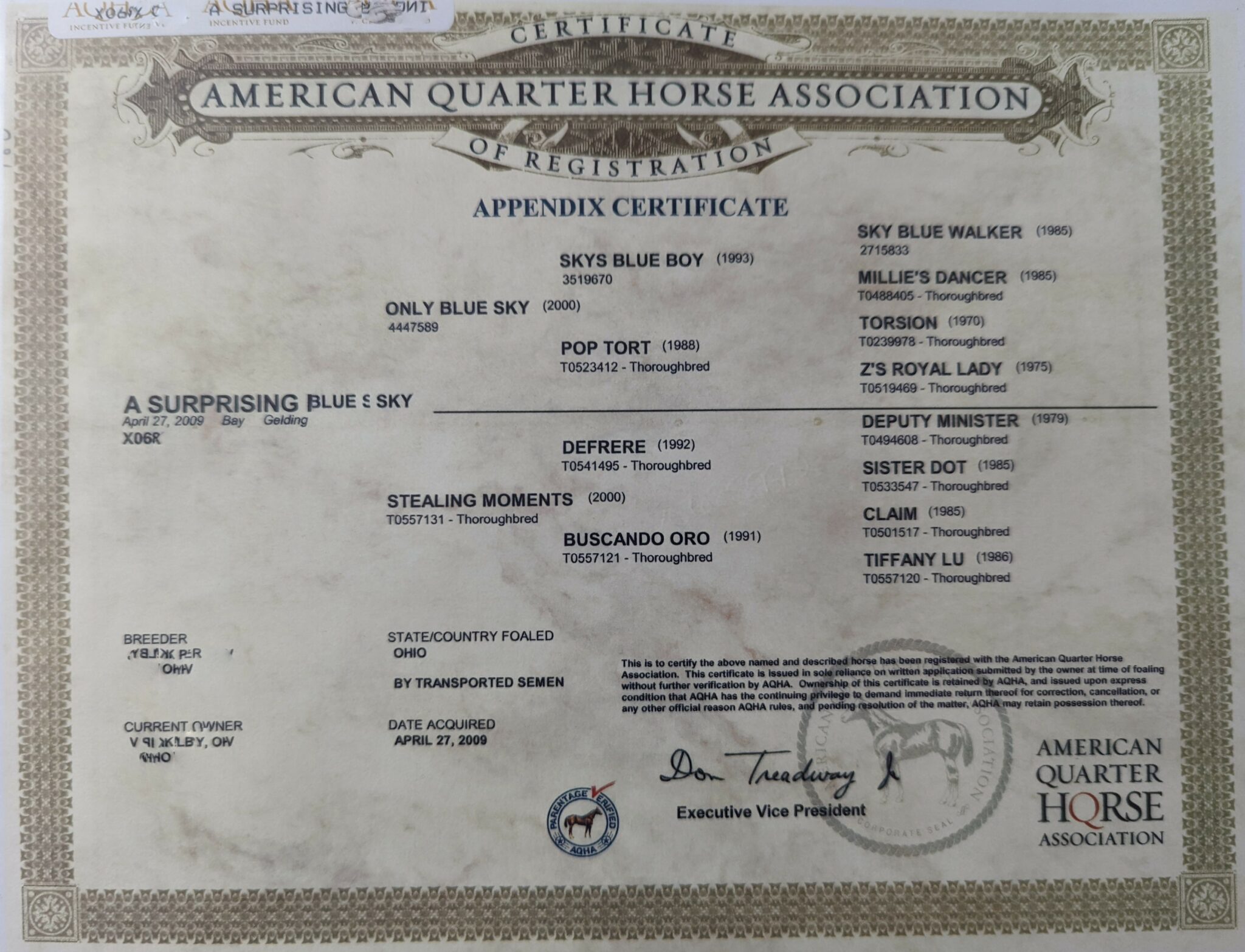 Equine Pedigree Query - i3mjgxh
