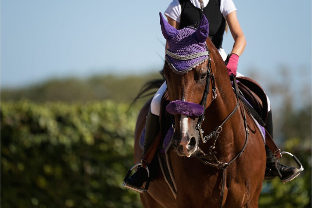 6 Best Horse Riding Back Braces, Protectors & Posture Correctors