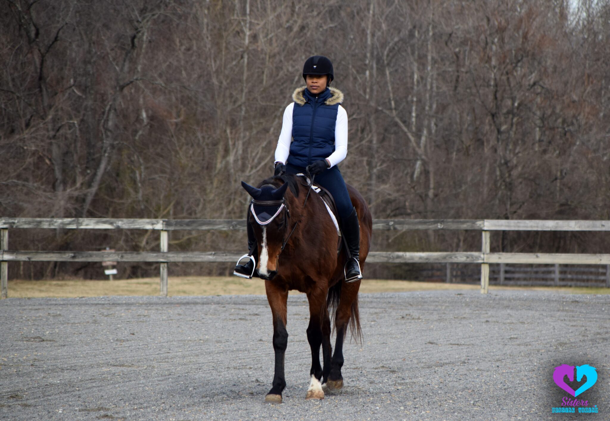 Top 5 Safest Horse Riding Helmets on the Market Horse Rookie