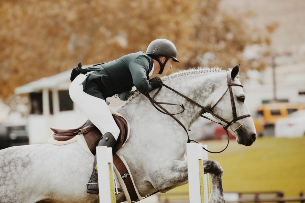 Top 5 Safest Horse Riding Helmets on the Market Horse Rookie