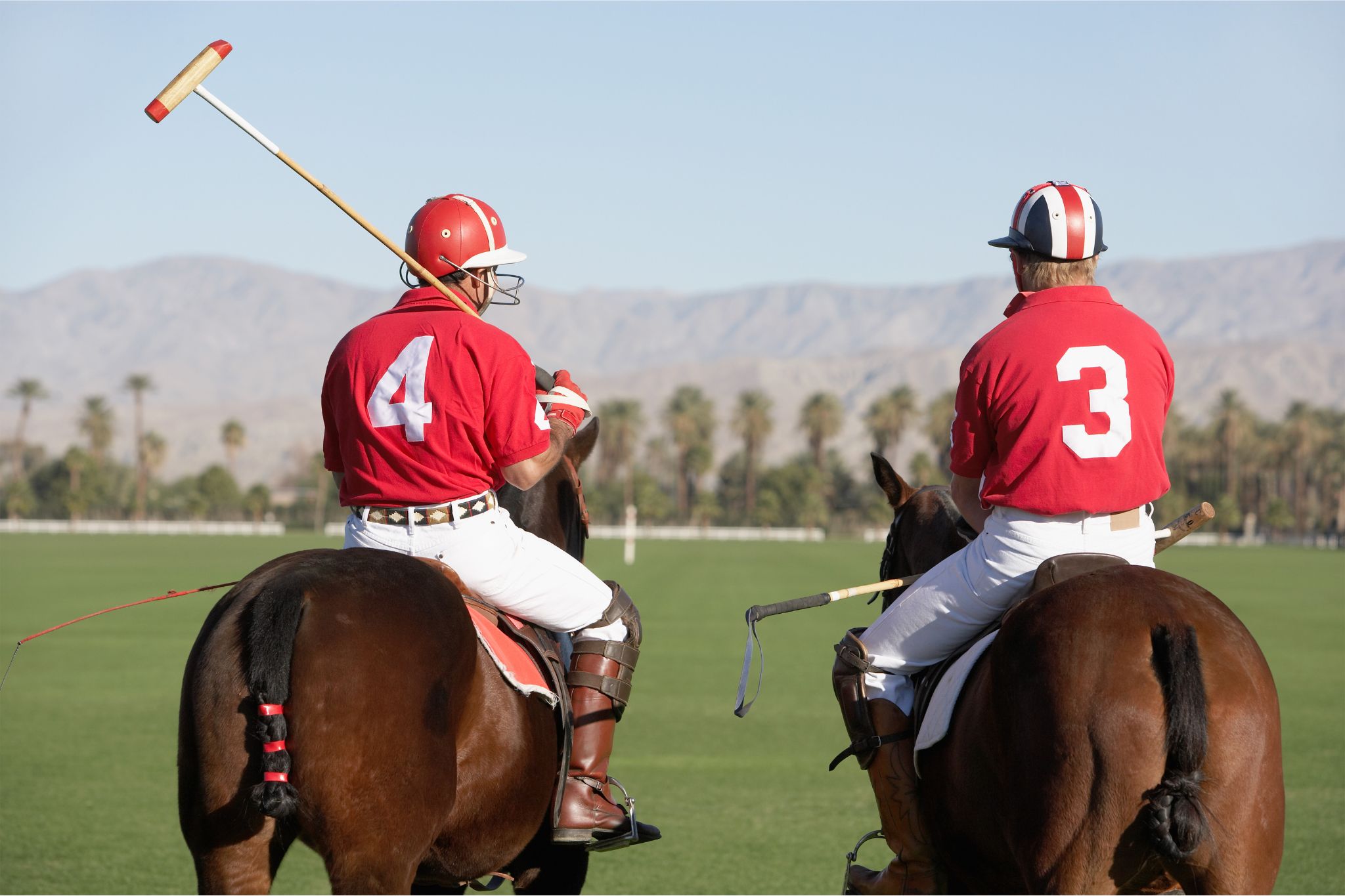 Horse Polo Terminology: Talk the Talk of this Fast-Paced Sport - Horse ...