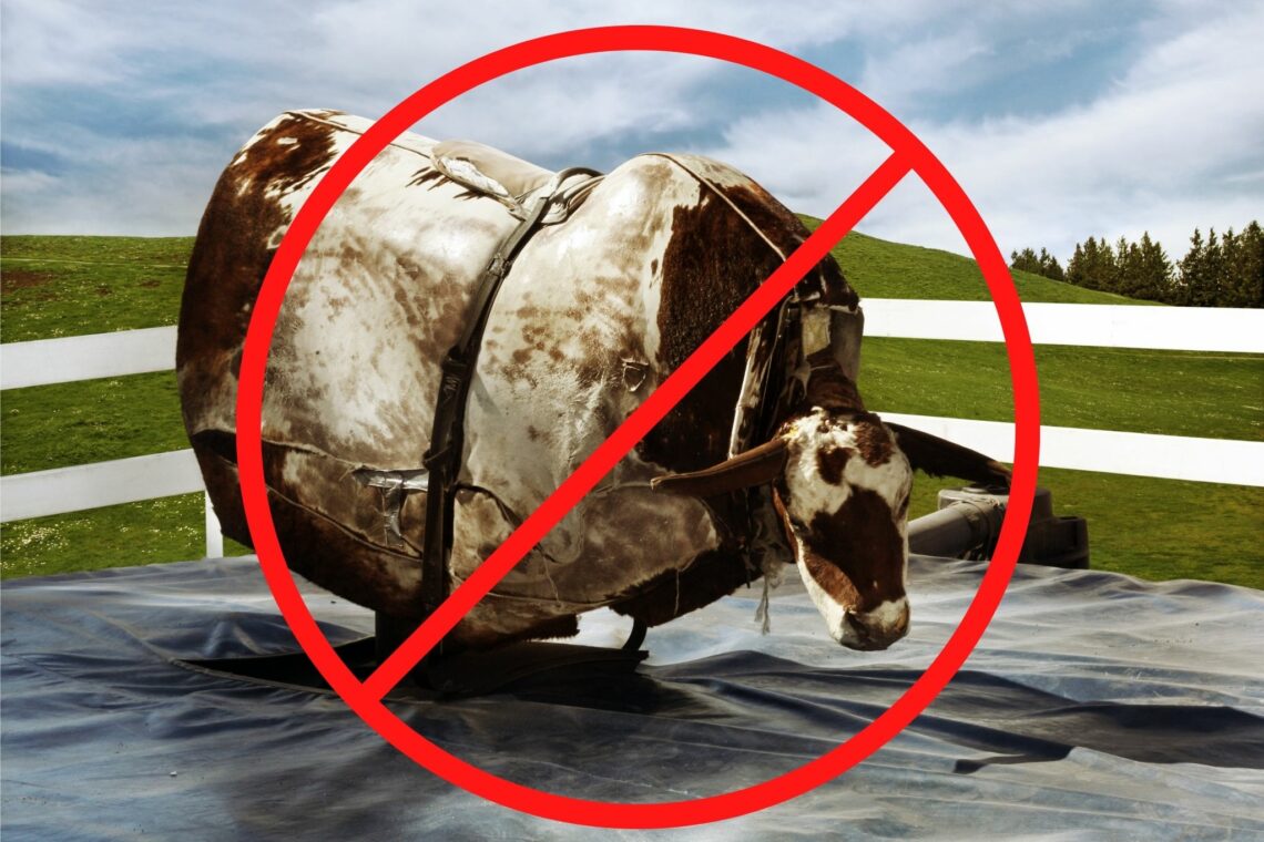 Cutting Horse FAQ What's a Mechanical Cow?