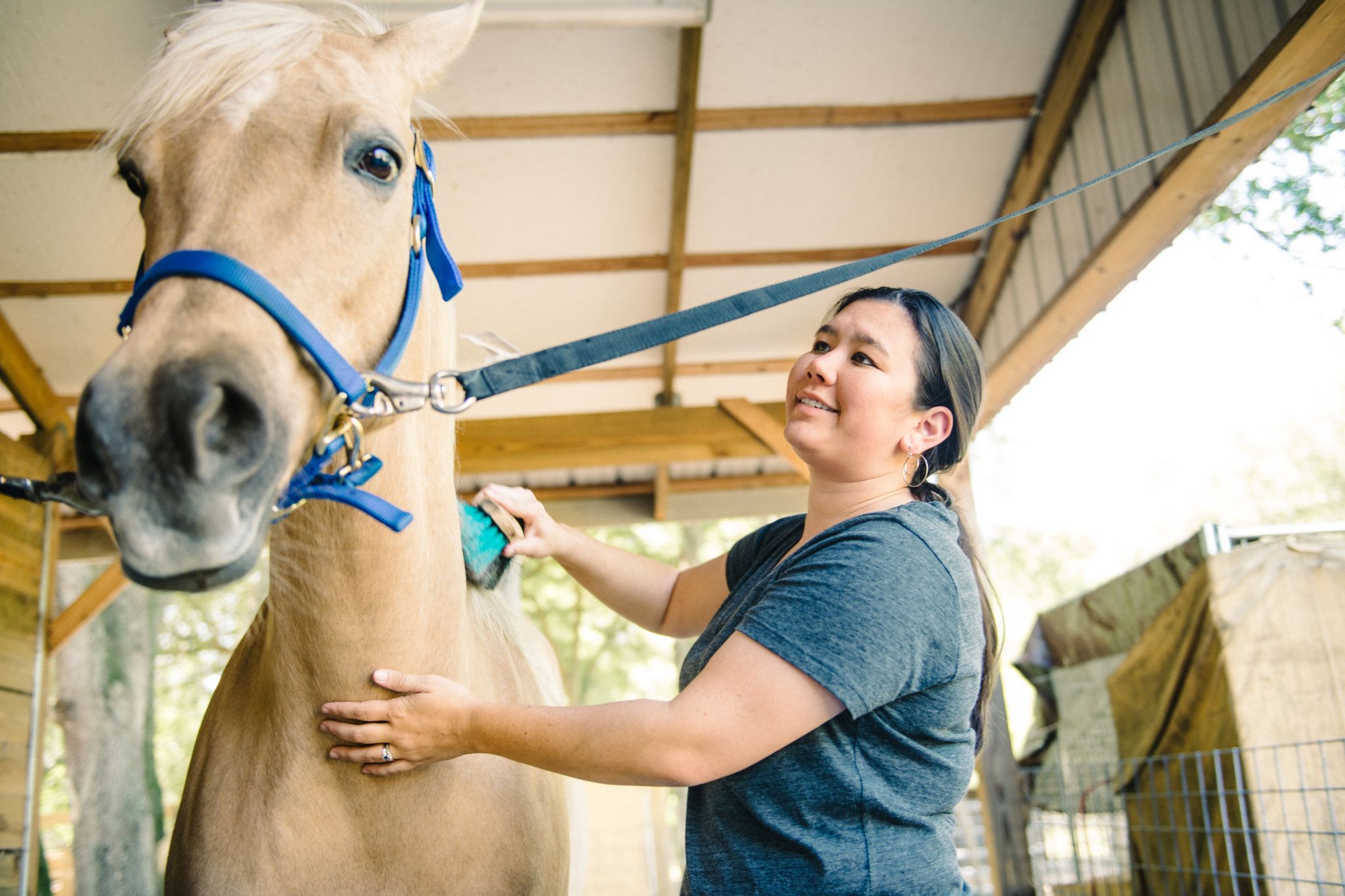 best horse calmers