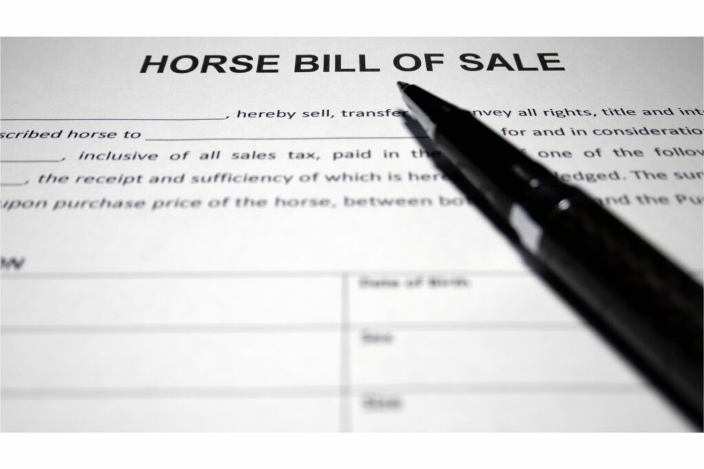 Horse bill of sale